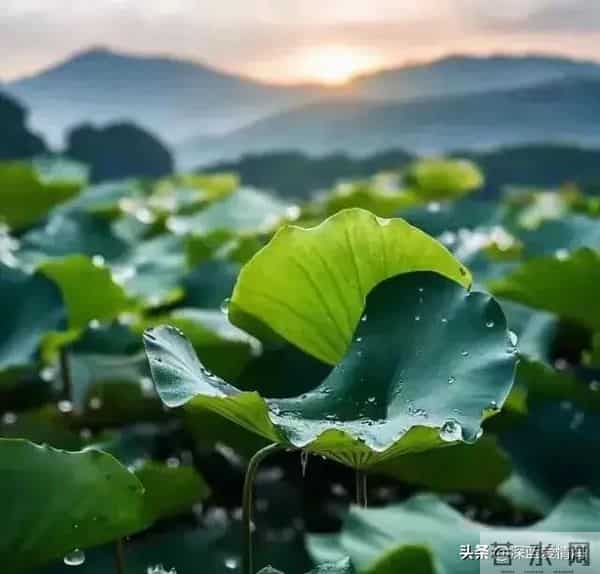 人生必须懂得八大人性法则,与人交往,你才不会吃亏!