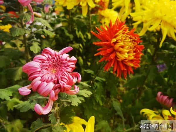 【经典名言荟萃】781 唯有心灵的安静,方能铸就人性的优雅