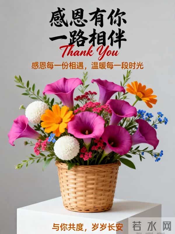 感恩节|以感恩之心 敬岁月温柔