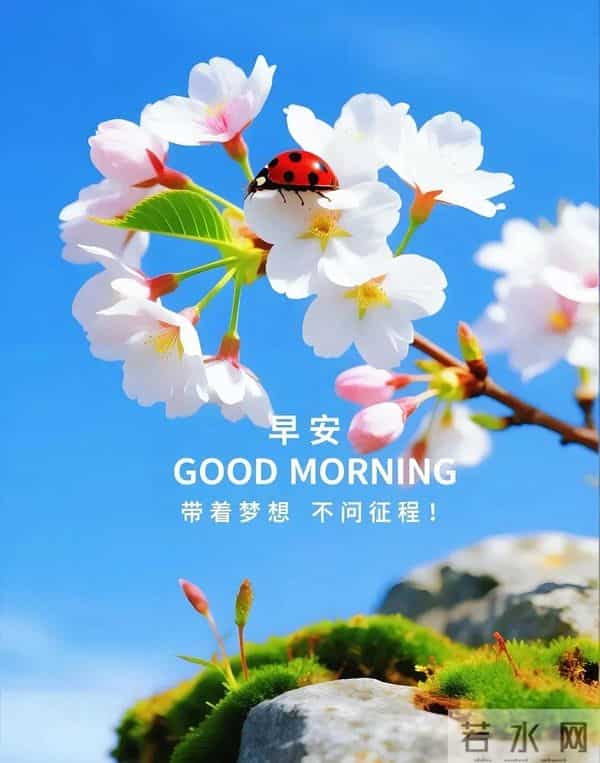 新的一天,新的开始!一句早安,温暖心房;一份祝福,伴你身旁。