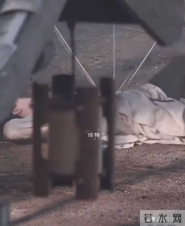 35岁成毅拍打戏受伤,腰部受重击后脑勺撞地,张晋的教训他没看懂