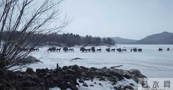 35岁成泰燊逆袭碾压陈晓?《大生意人》演技输赢看点多!