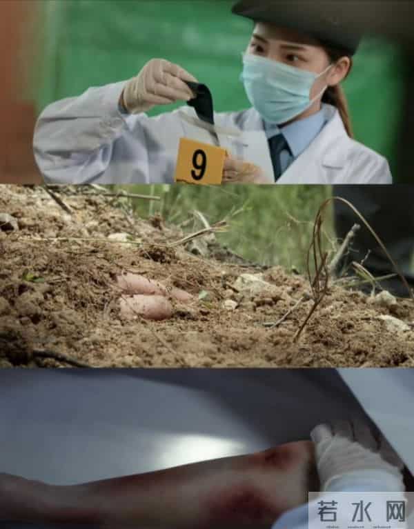 这两部悬疑剧凭啥让人不快进？熬夜刷完还想二刷！