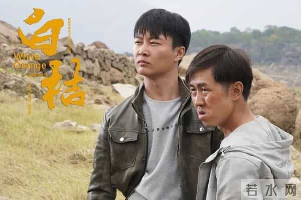 电影《白桔》今日全国温暖献映,谱写乡村振兴中的青春恋曲