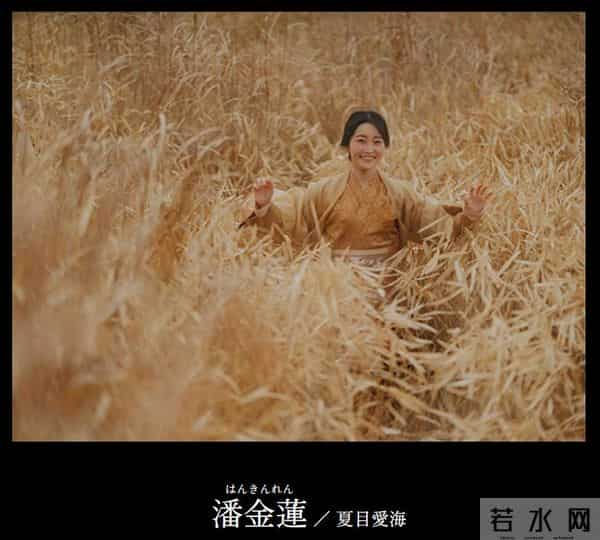 日本版《水浒传》潘金莲、阎婆惜演员终于公布了！