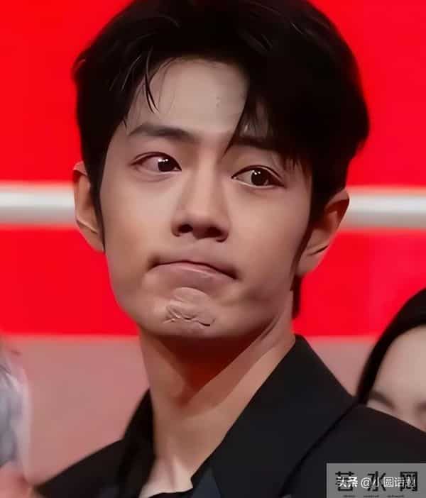 肖战凭演技征服韩国,昔日争议成过去,他的下一步会是好莱坞吗?