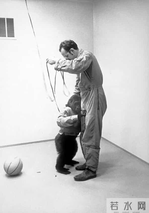 这位开宗立派的纪录片大师,用“现实虚构”抵达真实