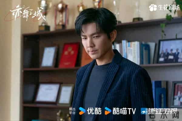 11月29日剧集全网播放量，《亦舞之城》第7、《大生意人》升第3！