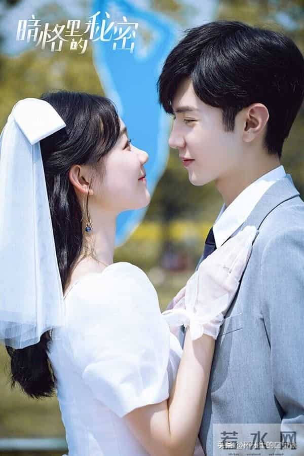 10部好看到一集入坑剧！ 《他为什么依然单身》搞笑，第十部神选角