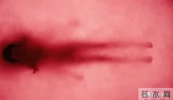 被圈养配种当血囊，《枭起青壤》原著中的林姨，地枭英雄结局太惨