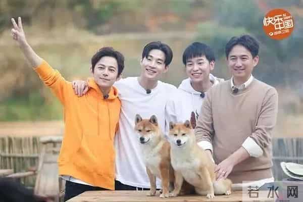 平均收视率第一！《四喜》收官，桐庐又“火”啦