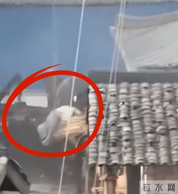 35岁成毅拍打戏受伤,腰部受重击后脑勺撞地,张晋的教训他没看懂