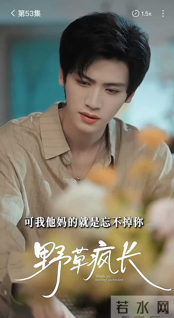 红果全网有效播放量最高的10部短剧，第一名4.97亿强势登顶榜首！