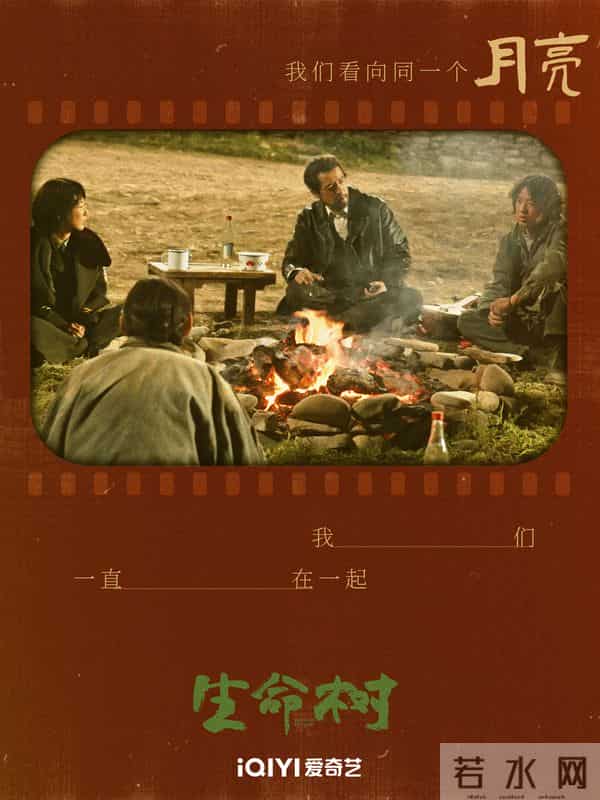 12月即将播出8部优质好剧,哪部待播剧让你期待已久?