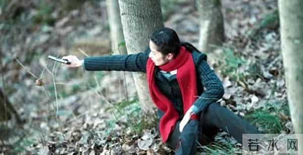 隐锋:37集结局全军覆没?陆淑芬牺牲云英被捕,李亨面临生死抉择