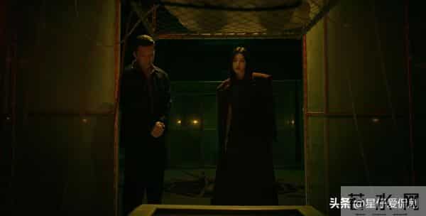 枭起青壤:最想让林伶死的,不是林喜柔,而是李月英!