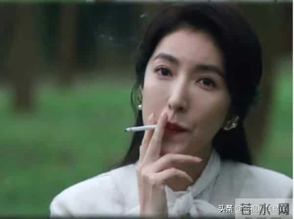 豆瓣8.1分台剧！全员演技派+烧脑悬疑，看完后劲十足《华灯初上》