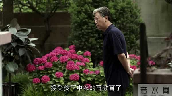 父母爱情番外7:春来茶馆被暂停营业,卫民许红找江德福安杰帮忙