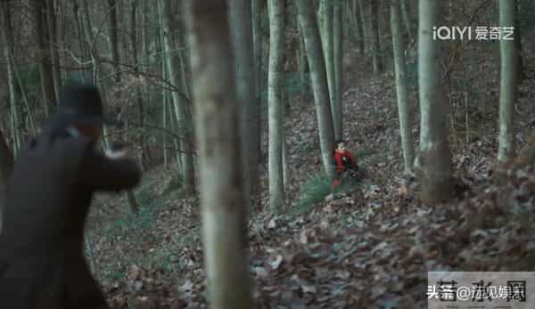 隐锋：大结局，原来，这才是李亨平安送出邓司令的真相