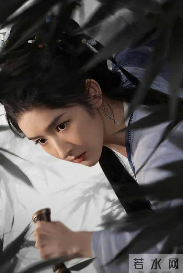 未播杀疯!《白衣公卿》反套路锦衣卫+龚俊聂远2025古装王炸预定