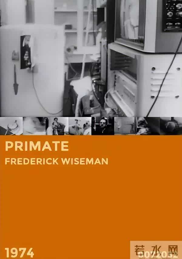 这位开宗立派的纪录片大师,用“现实虚构”抵达真实