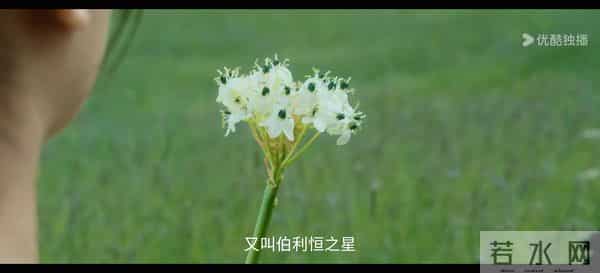 开播首日半小时热度破5000，网友好评如潮，这部新剧火了