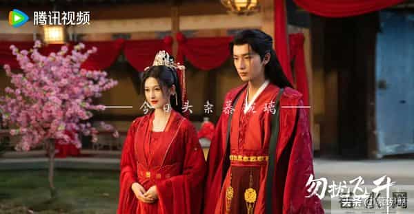 11月27日火热播出22部、定档3部剧推荐 6部剧首播 大秦帝国起源开播