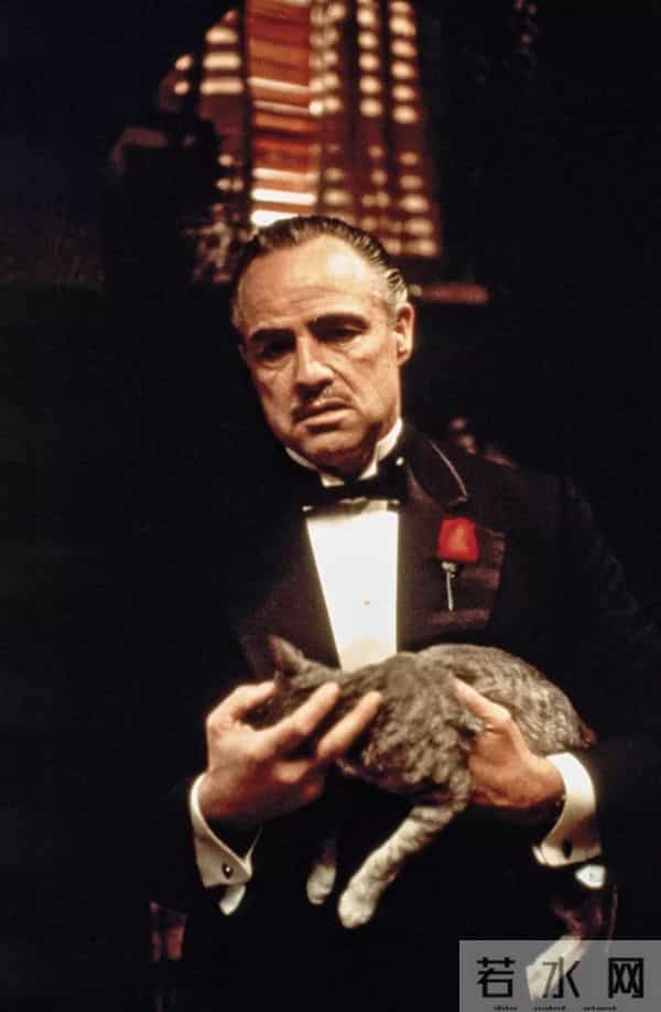 就算看了几十遍《教父》,你可能还是不够了解它!