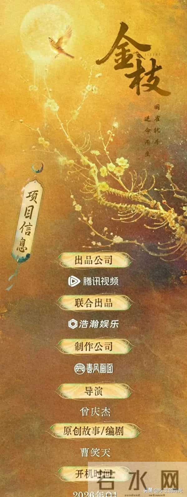 金枝VS云初令VS嫁金钗,都是近期要开的饼,都有点偏向宅斗