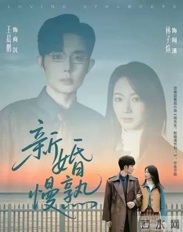 救命!《新婚慢熟》四版先婚后爱杀疯了!这对才是天选闻溪商沉?