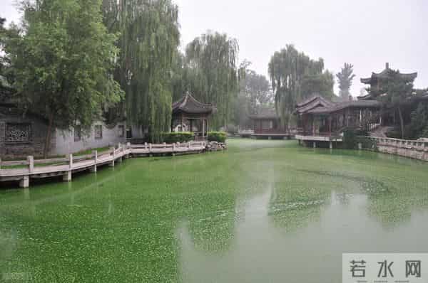 为啥这么多爆款爱去怀柔？金鸡奖背后有故事，北京人心里都有数