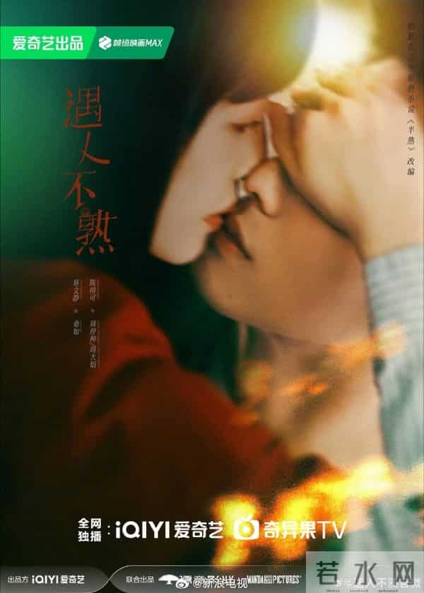 爱奇艺12-1月片单题材丰富阵容亮眼，剧迷可以提前码住啦～