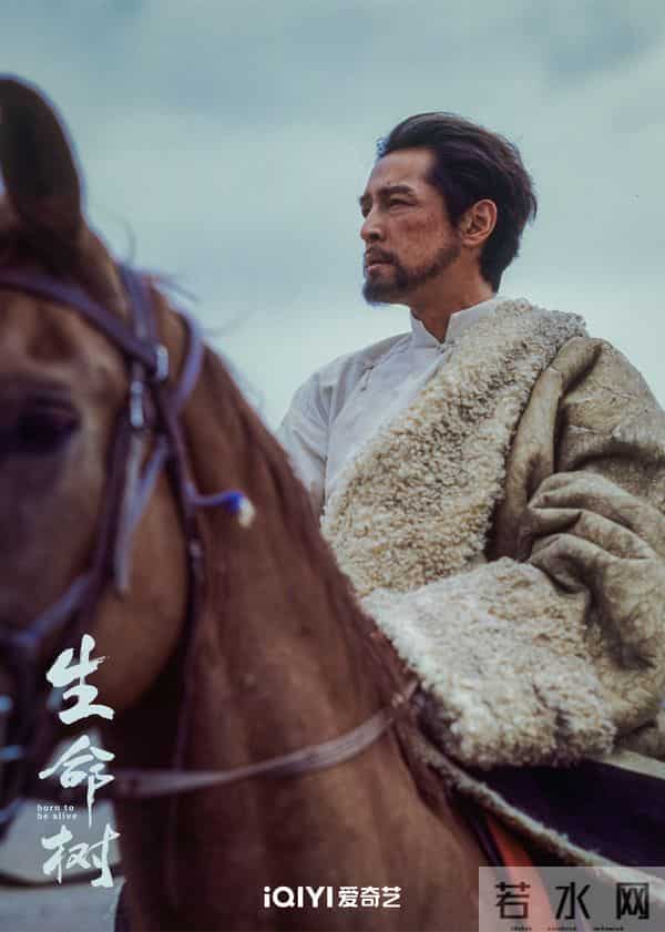 12月即将播出8部优质好剧,哪部待播剧让你期待已久?