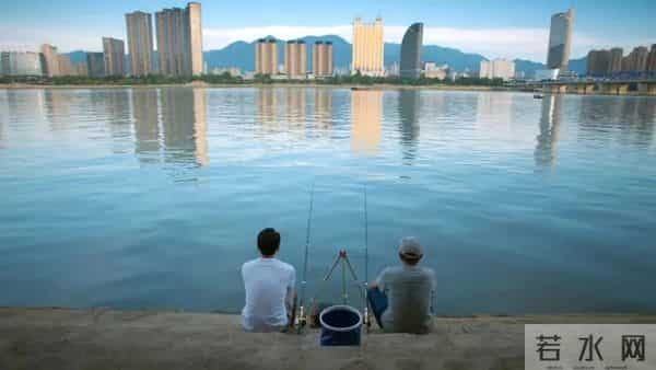 平均收视率第一！《四喜》收官，桐庐又“火”啦