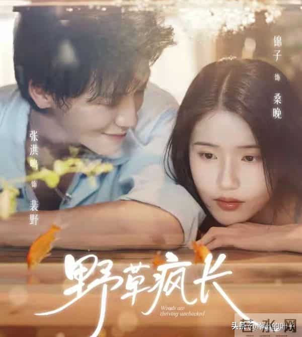 红果全网有效播放量最高的10部短剧，第一名1.18亿强势登顶榜首！