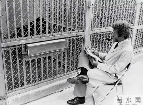 这位开宗立派的纪录片大师,用“现实虚构”抵达真实