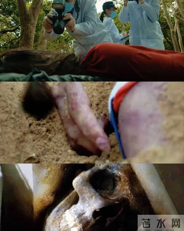 这两部悬疑剧凭啥让人不快进？熬夜刷完还想二刷！