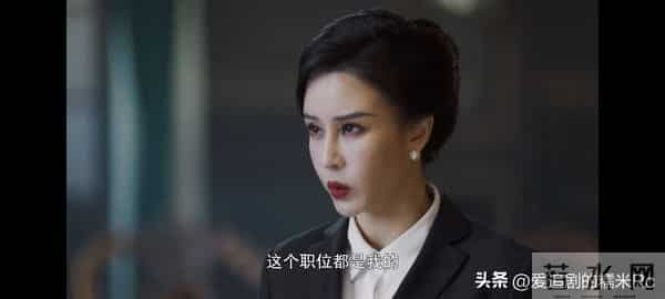 隐锋:沈一禾做梦也没有想到,他包养安谧,反而害了自己