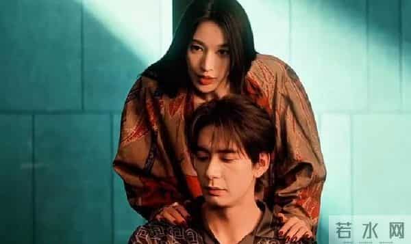 枭起青壤林姨背后真相揭秘,血囊与林喜柔的神秘联系