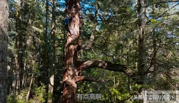 传下去,王一博第一次出发就丢了