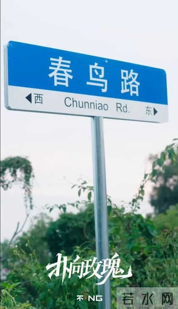 推荐短剧（1-100）《扑向玫瑰》：暗恋成真的甜宠故事