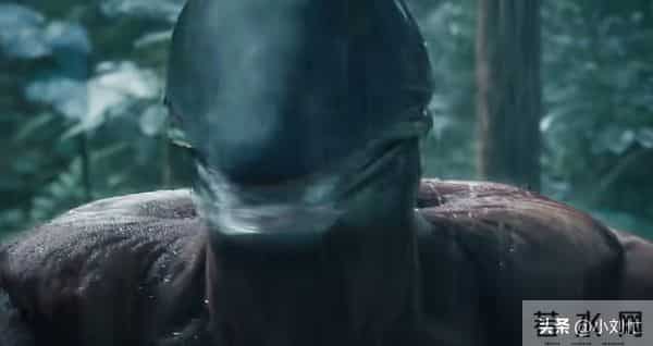 被圈养配种当血囊，《枭起青壤》原著中的林姨，地枭英雄结局太惨