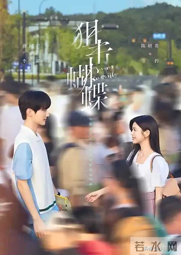 大爆!《亦舞之城》今日空降,四大平台纷纷甩出“王炸剧”对决