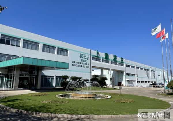 不查不知道，原来这些都是潜伏在中国的日本货，个个赚得盆满钵满