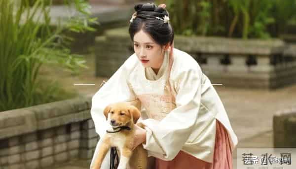 11月27日火热播出22部、定档3部剧推荐 6部剧首播 大秦帝国起源开播