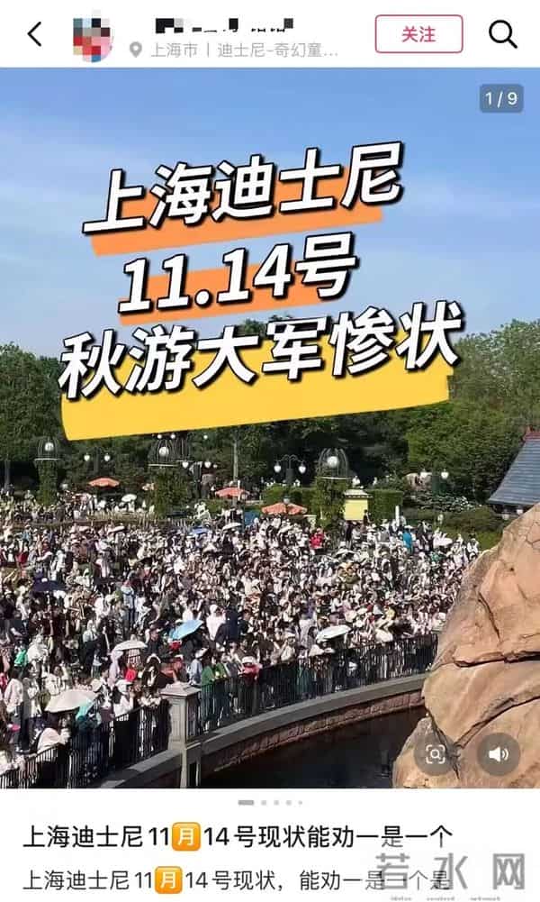 疯狂动物城2热映，上海迪士尼赢麻