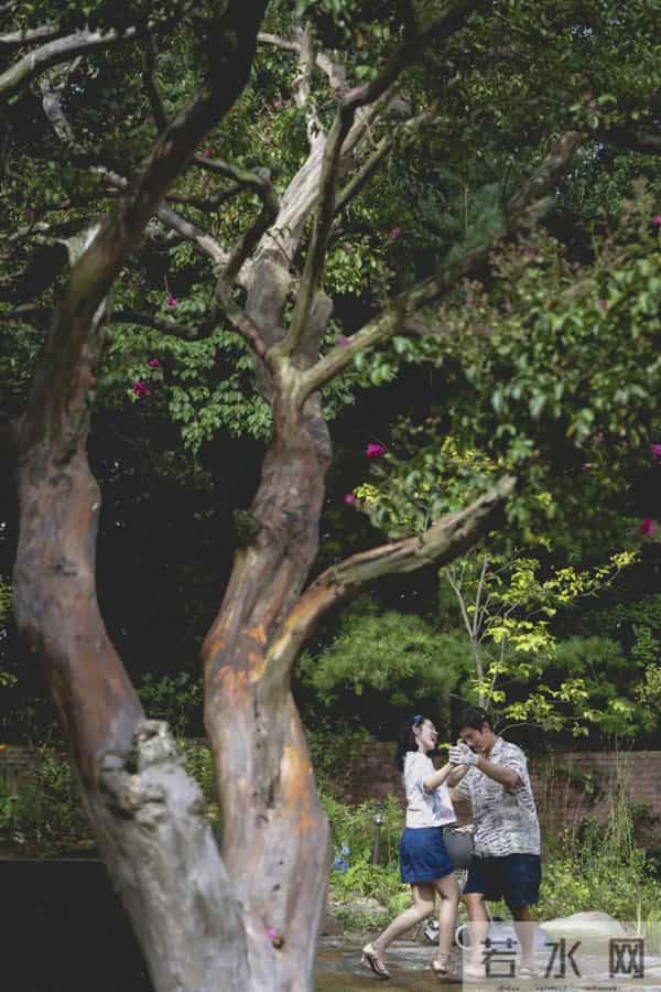 失业中产变笨拙杀手？《无可奈何》笑完只剩一身冷汗