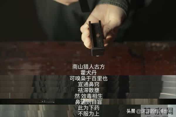 林伶身世曝光！原来，聂九罗抛弃青梅竹马刑深，恋上炎拓的真相