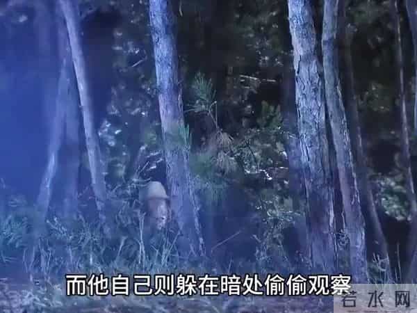 神枪张响智斗鬼子王牌狙击手(5)