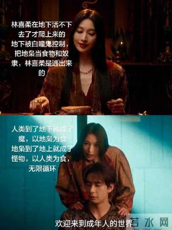 枭起青壤林姨背后真相揭秘,血囊与林喜柔的神秘联系